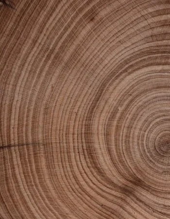 procedure-benefits-texture-left