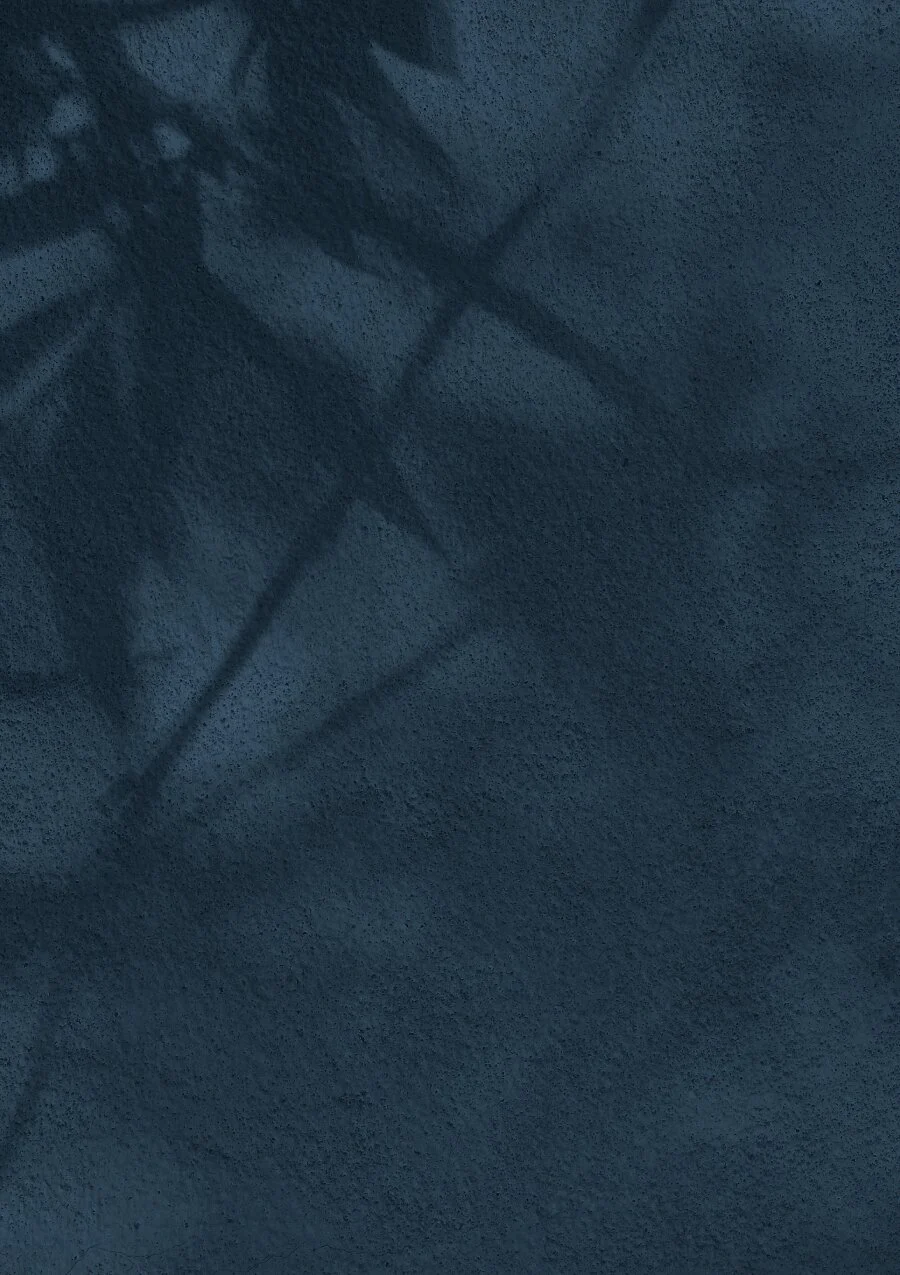 Blue Textured wall background with leaves shadows seen on the wall.